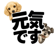 847664858