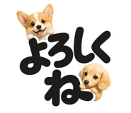 847664862