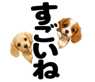 847664864