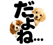 847664870
