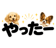 847664871