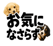 847664874