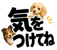 847664879