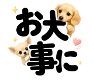 847664881