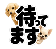 847664882