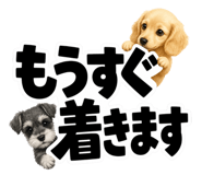 847664884