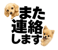 847664887