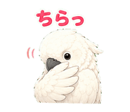 847665083
