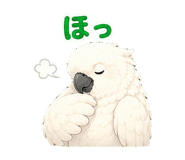 847665085
