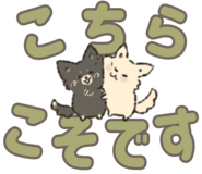 847665759