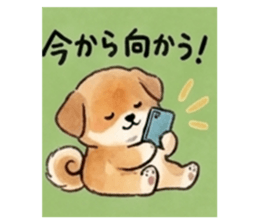 847674899