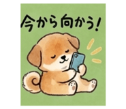 847674899
