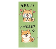 847674903