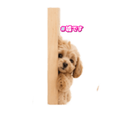 847675543