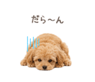 847675544