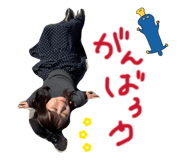 847678520