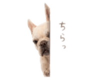 847679056