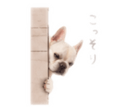847679073