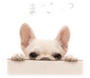 847679084