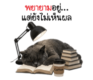 847679379
