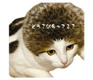 847681458