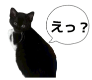 847684443