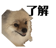 847684593