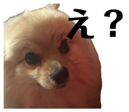 847684595
