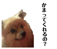 847684596