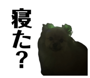 847684602