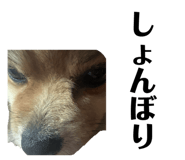 847684606