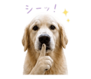 847684864