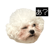 847684870