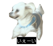 847684871