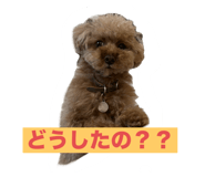 847688777
