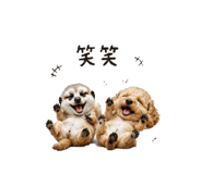 847690650