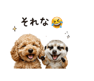 847690656