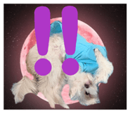 847691172
