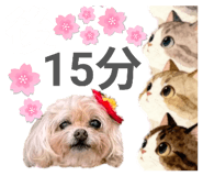 847691186