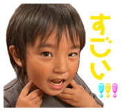 847691354