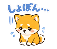847692402