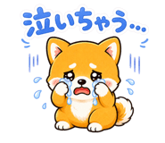 847692404