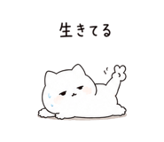847692795