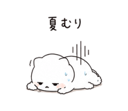 847692798