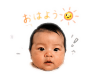 847696231