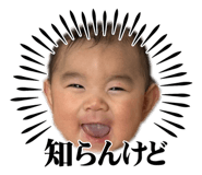 847696504