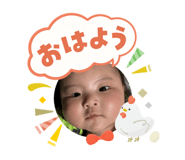 847700442
