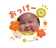 847700444