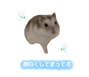 847700635