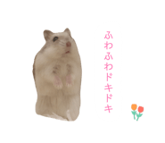 847700636